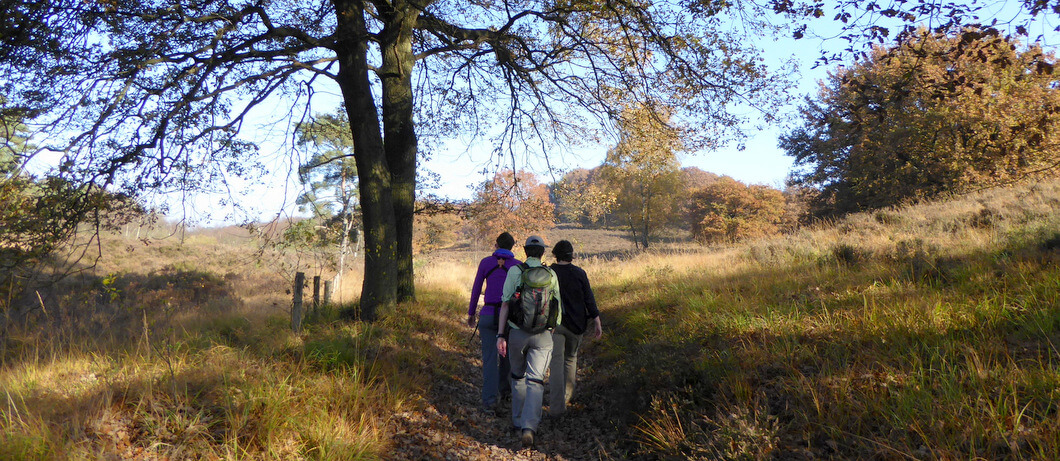 Terrassenlandschap van Nationaal Park De Meinweg