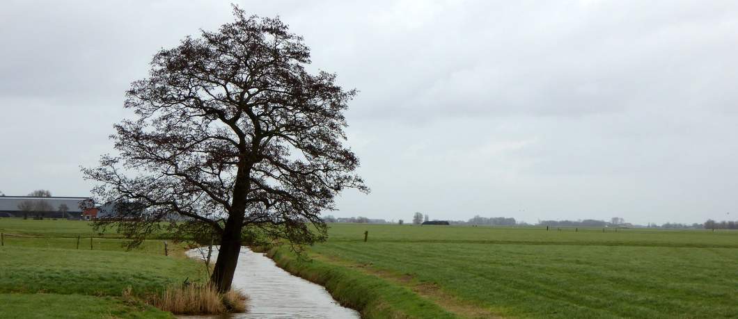 Landschap bij Dokkum