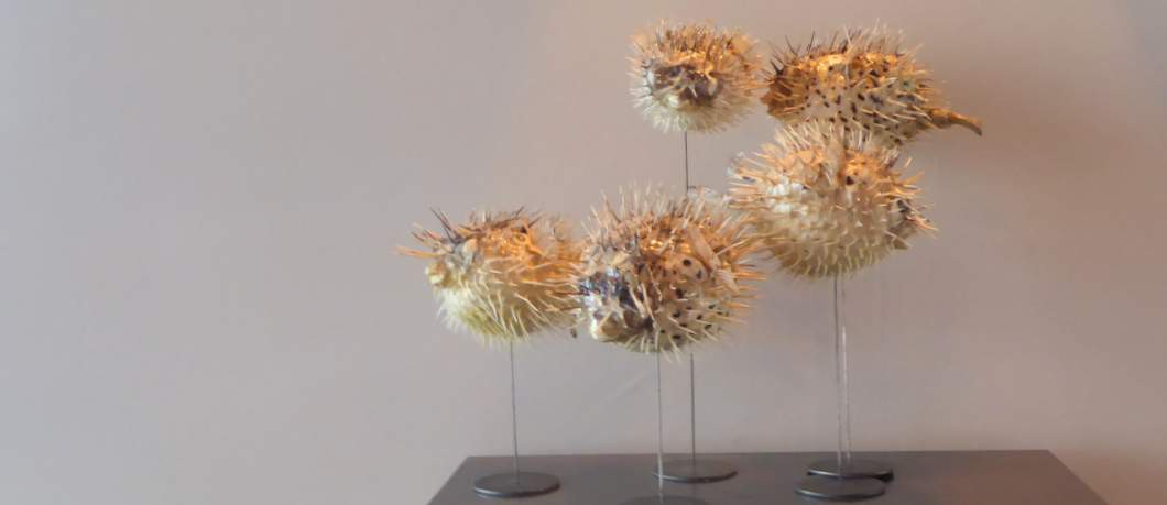 Kunstwerk restaurant Dorset - Davides