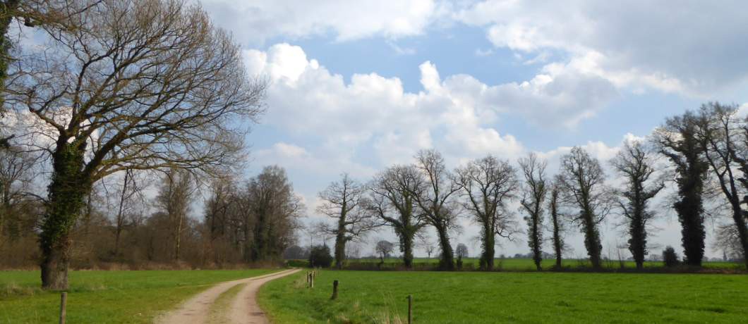 Velden afgewisseld met bomen (foto Davides)