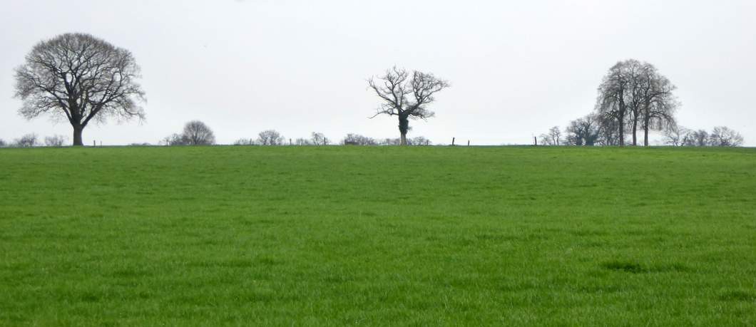 Glooiend landgoed Twickel