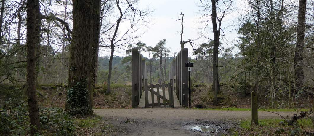 Heide landgoed Twickel (foto Davides)