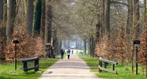 Wandelen op eeuwenoud landgoed Twickel in Twente