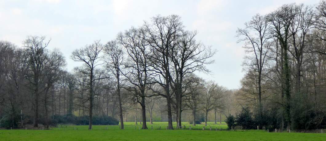 landschap-landgoed-twickel-davides