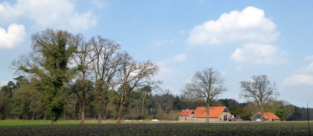 Pachtboerderijen op landgoed Twickel (foto Davides)