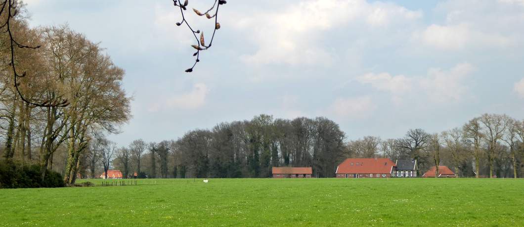 Pachtboerderijen op landgoed Twickel (foto Davides)