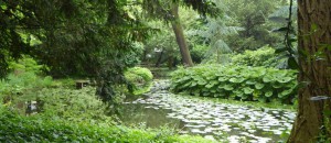 Vijver van tuin Schoonoord