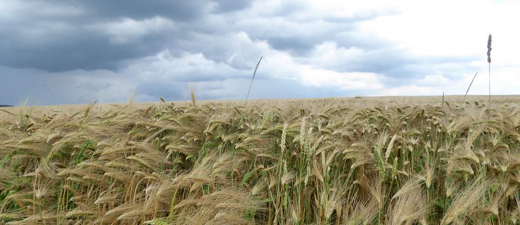 Akkers Buitenplaats Bemelen (Foto: Davides.nl)