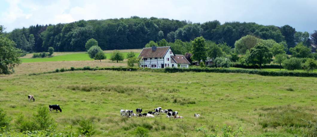 Vakwerkhuis Mechelen (Foto: Davides.nl)