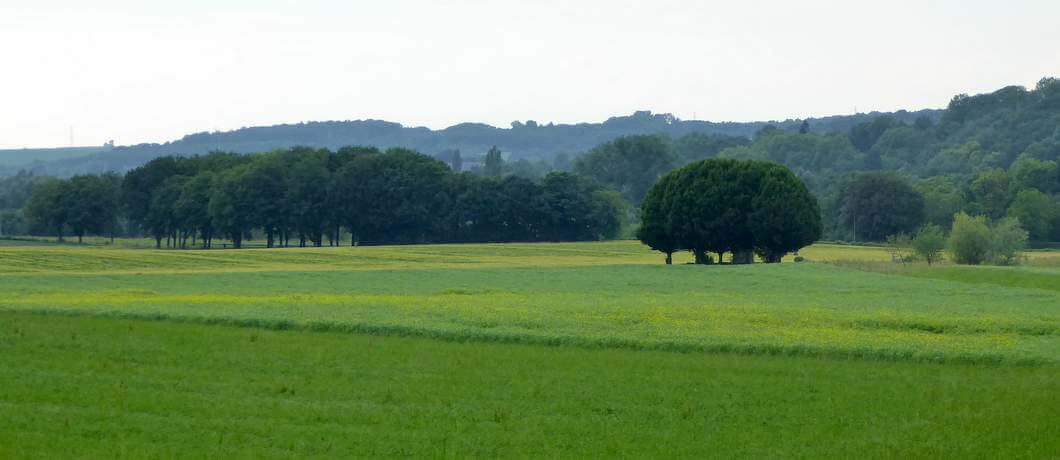 Velden wandelen Geuldal (Foto: Davides.nl)