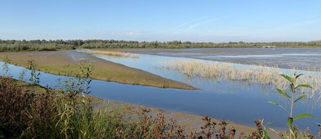 Polder Noordwaard in de Biesbosch (foto: Davides.nl)