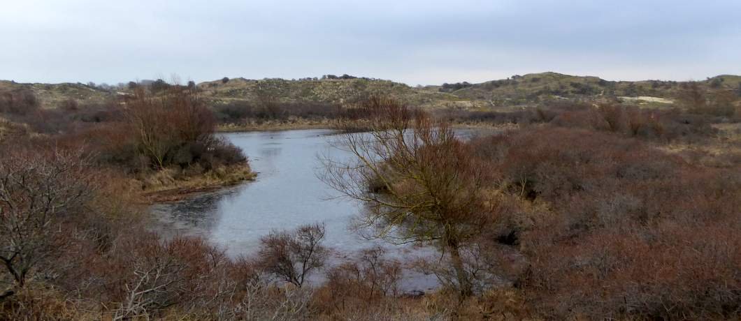 Een van de duinmeertjes in Hollands Duin