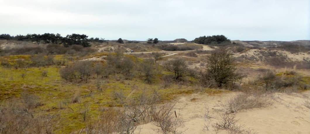 De Hollandse Kalahari