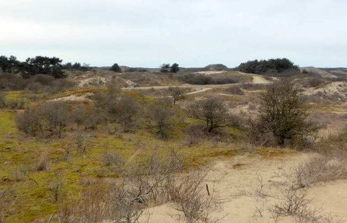 De Hollandse Kalahari