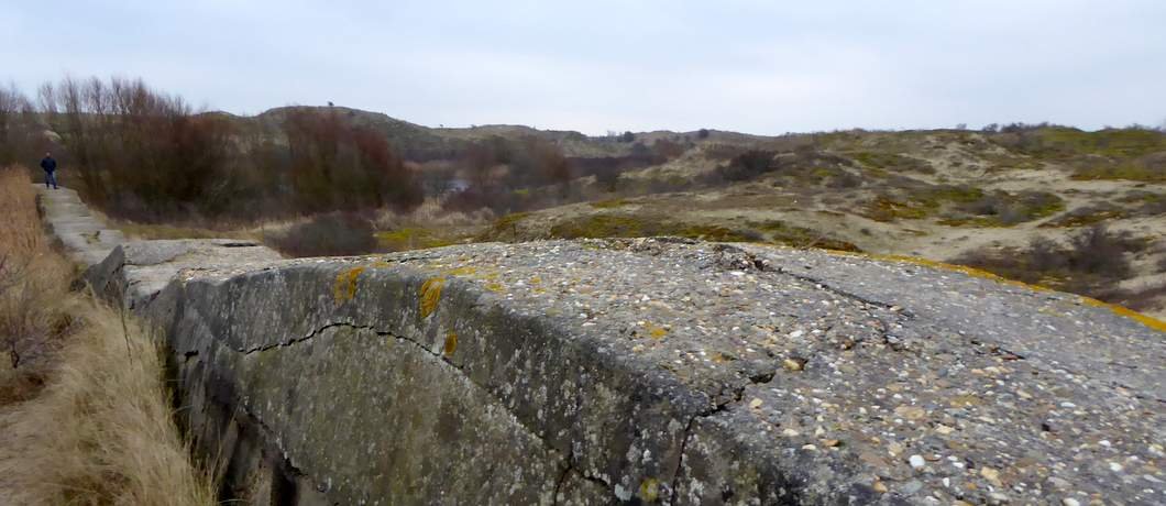 Wandelen over de Atlantikwall in Hollands Duin