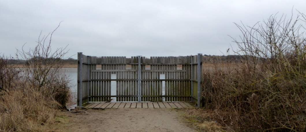 Vogelkijken in natuurgebied Hollands Duin