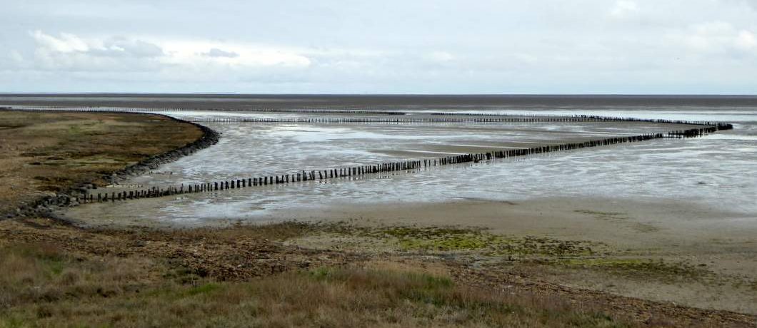 Buitengaats fietsen op Texel