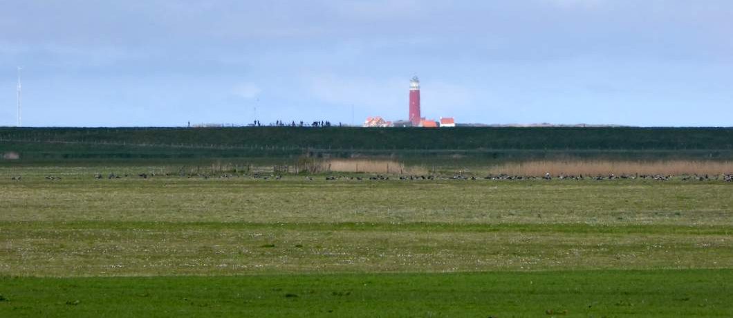 De Cocksdorp in de verte tijden het fietsen op Texel