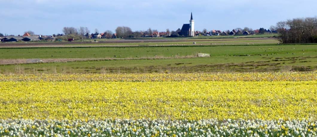 Uitzicht op het kerkje van Den Hoorn bij het fietsen op Texel