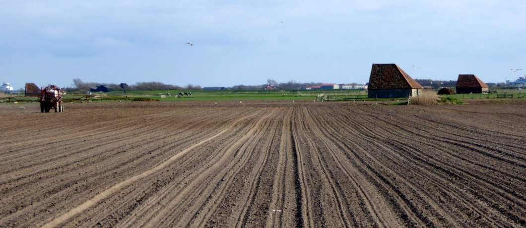 Doorkliefde schuren op Texel
