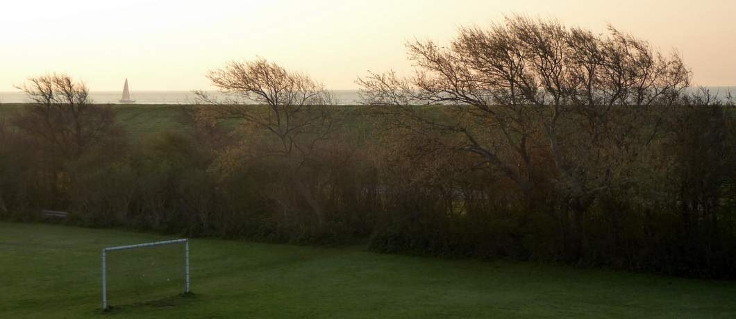 Waddenzee met zeilboot bij zonsopgang
