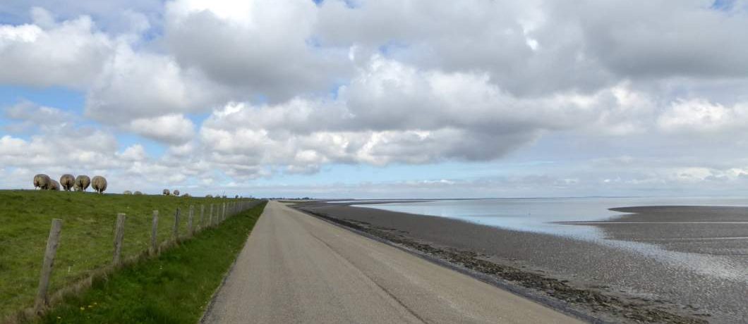 Waddenzeedijk fietsen op Texel