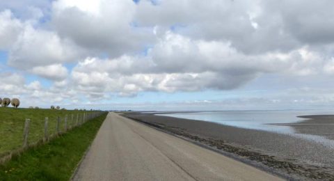 Fietsen op Texel: een rondje over het Waddeneiland