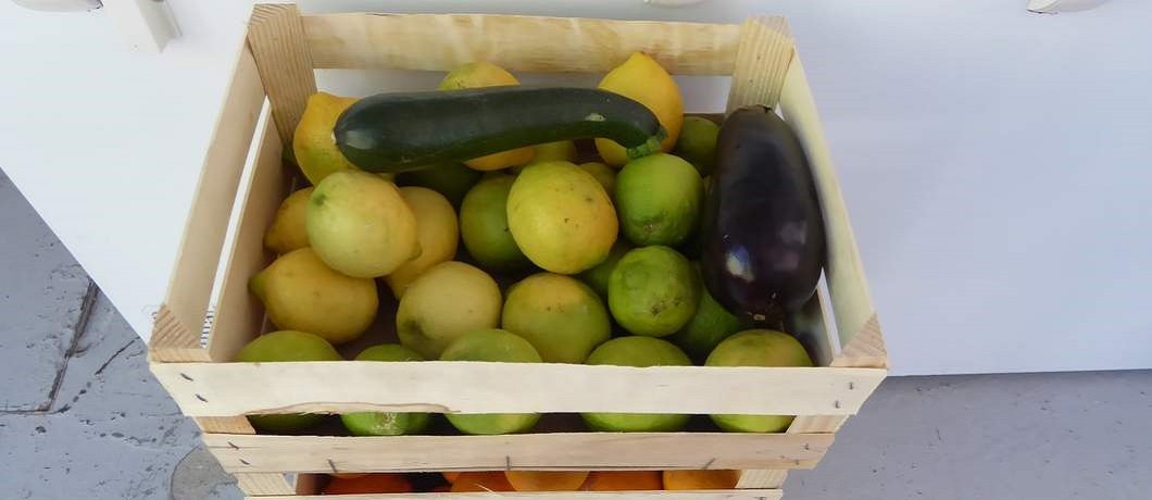 Kisten met biologische citroenen uit Sardinië