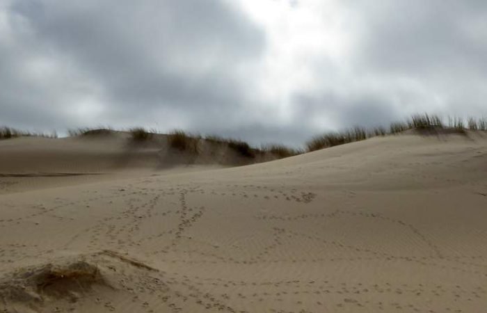 Woeste lucht en vogelpootjes in het duinzand