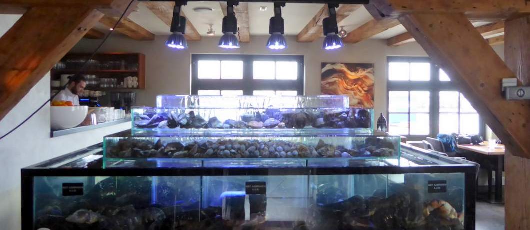 De 4 verdiepingen van het homarium van visrestaurant 't Pakhuus