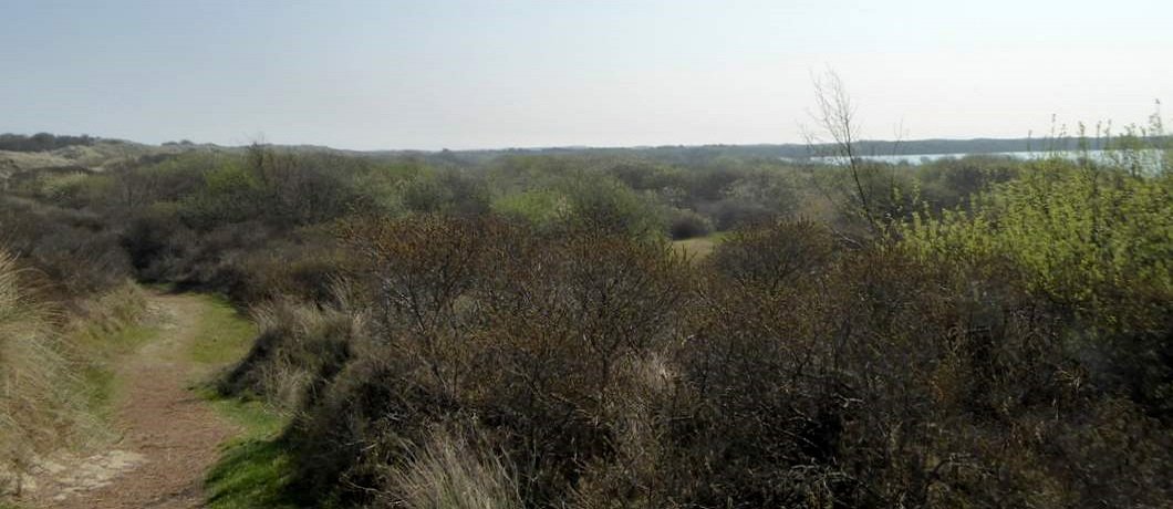 Langs de Horsmeertjes bij het wandelen op Texel