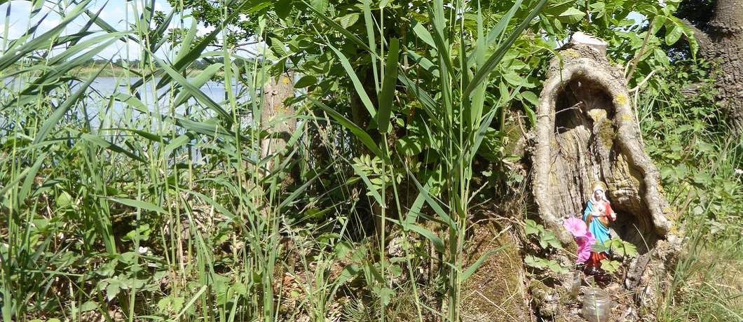 altaar-ankeveense-plassen-davides