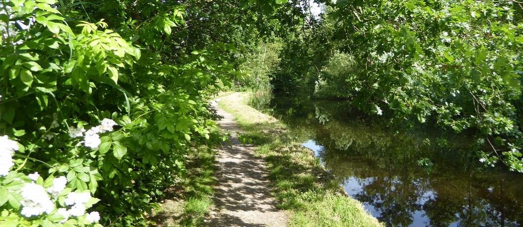 bergse-pad-ankeveen-davides