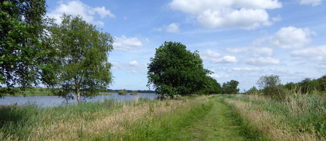 graspad-wandelen-ankeveense-plassen-davides