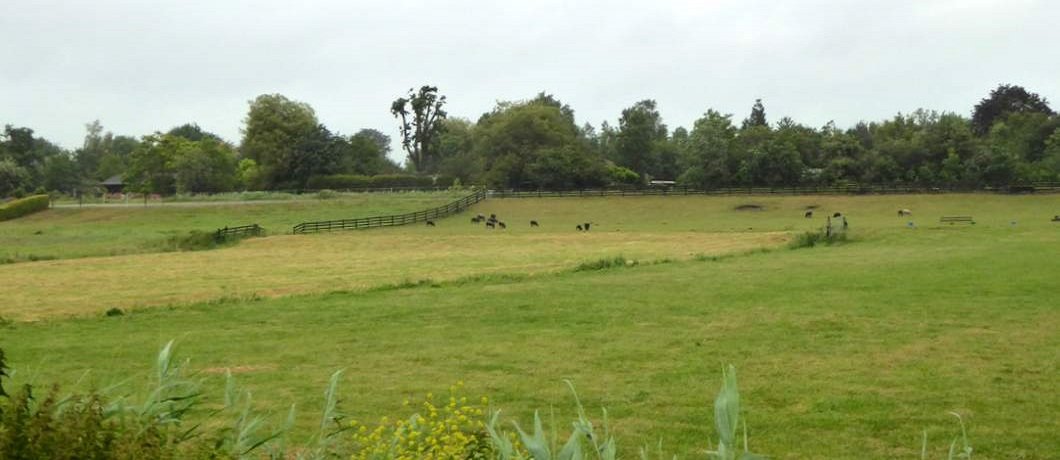 Landschap van het Groene Hart