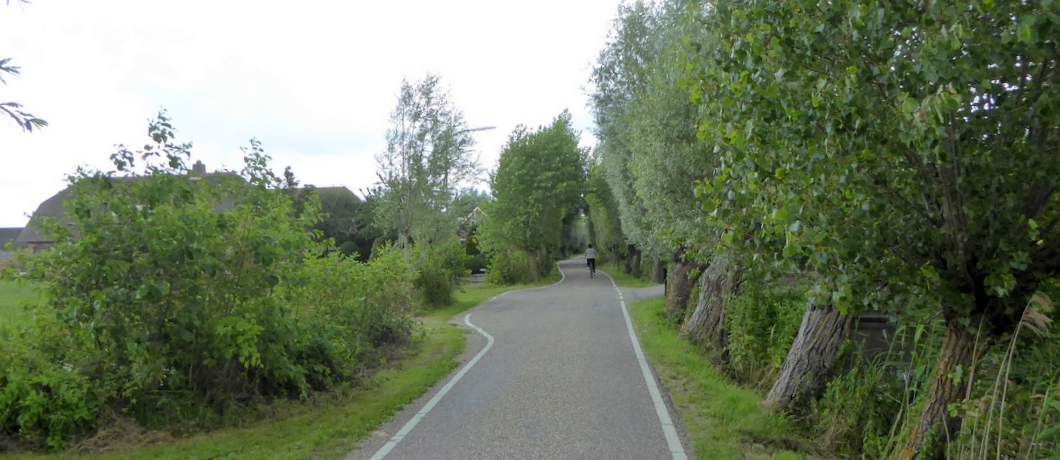 Kronkelende landweg door het Groene Hart