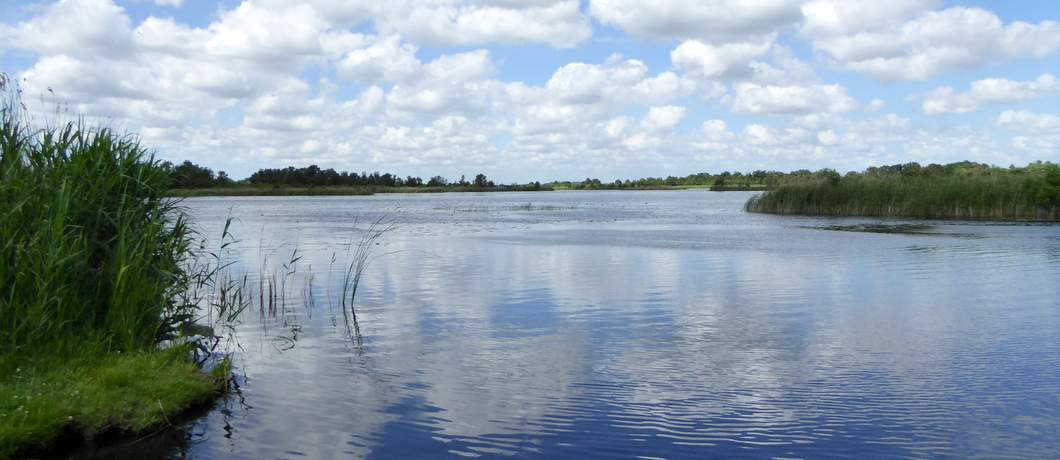 wandelen-ankeveense-plassen-davides
