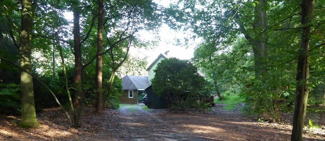 Bospad naar vakantiehuis De Witte Raaf