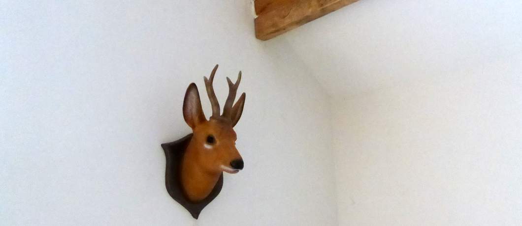 Een van de opgezette dieren in De Witte Raaf