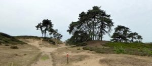 Kale Duinen in het Drents-Friese Wold