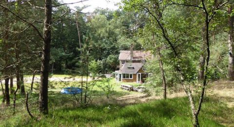 Vakantiehuis De Witte Raaf in Oude Willem, magische plek in het bos