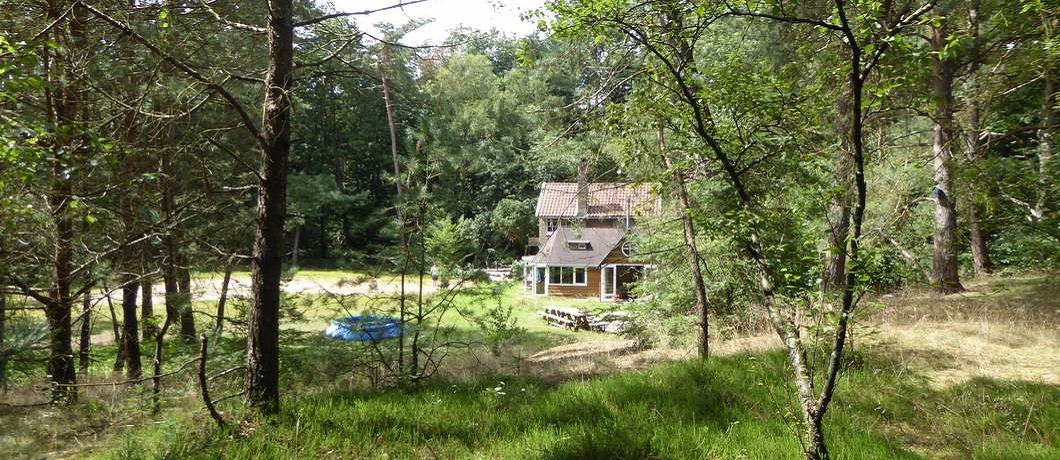 Vakantiehuis De Witte Raaf in Oude Willem