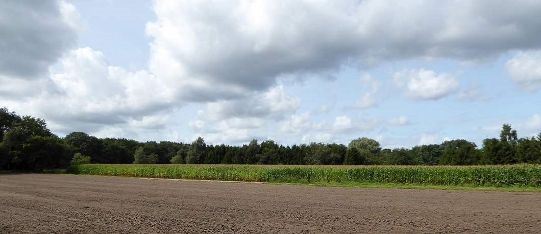 Akkers tussen de bossen tijdens het wandelen in het Gooi