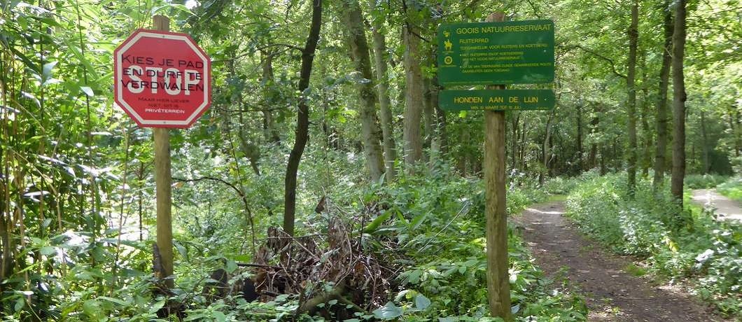 Bord Kies je pad en durf te dwalen