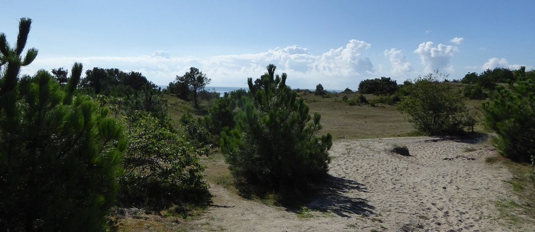 Eerste glimps van de zee in de verte bij geluidswandeling Deep Down