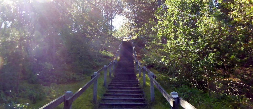Van bos naar duin tijdens de geluidswandeling op Vlieland van Sountrackcity