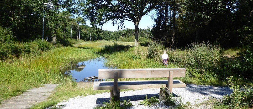 IJsbaanvijver Vlieland startpunt geluidswandeling Deep Down van Soundtrackcity
