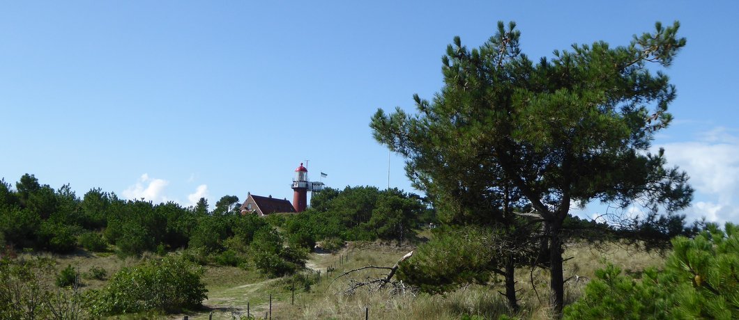 De Vuurtoren van Vlieland het eindpunt van geluidswandeling Deep Down