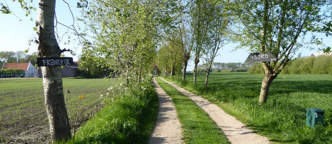 Oprit en bomenlaantje van B&B Frankrijk-Noord in Zeeland