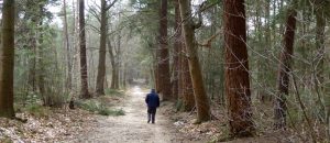 Alleen heel af en toe ontmoeten we een wandelaar.